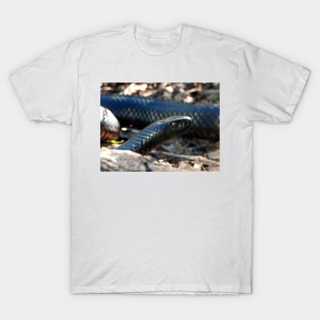 Red-bellied Black Snake T-Shirt by kirstybush